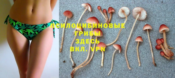 MESCALINE Михайлов