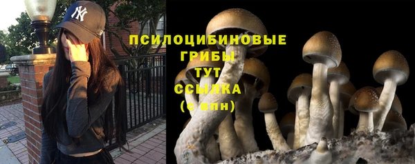 jwh Медногорск