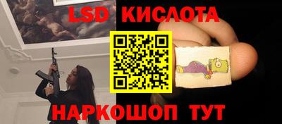 шишки Заволжье