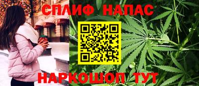 шишки Заволжье