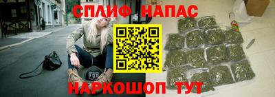 шишки Заволжье