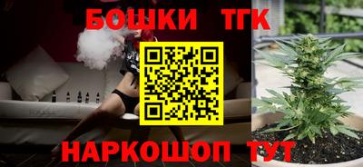индика Жуковский