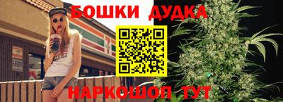 шишки Заволжье