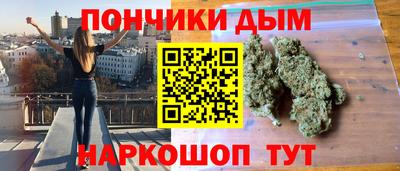 индика Жуковский