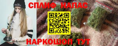 шишки Заволжье