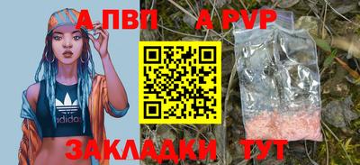 шишки Заволжье