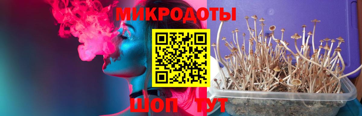 Псилоцибиновые грибы GOLDEN TEACHER  Псилоцибиновые грибы мухоморы  Вход с VPN  Электрогорск 