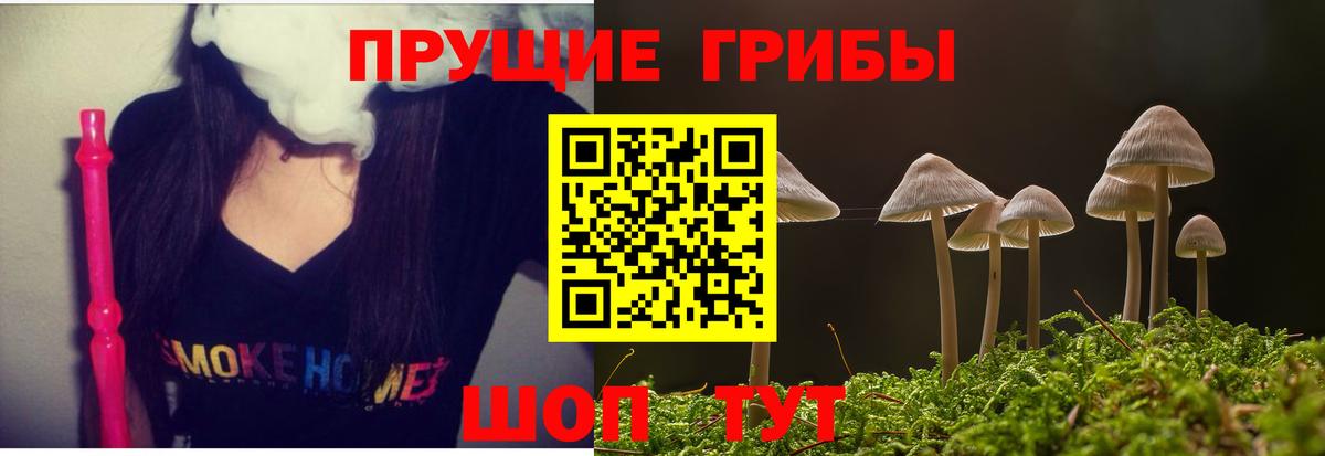 Галлюциногенные грибы Psilocybine cubensis Электрогорск